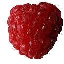 Rubus ideaus, Raspberry, an example of an aggregation of drupes