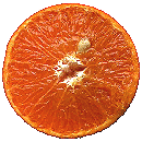 Citrus, orange, an example of a hesperidium