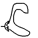 diagram of labiate or lip flower shape