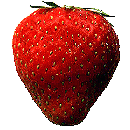 Fragaria, Strawberry, an example of a pseudocarp