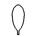 diagram of ligulate or strap flower shape