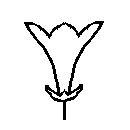 diagram of trumpet shaped flower shape